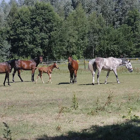 Slapen Op Gennep Eindhoven