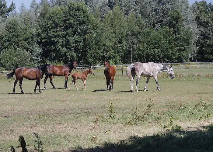 Slapen Op Gennep Eindhoven